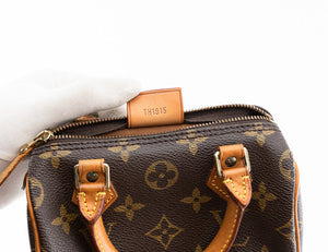 Monogram Nano Speedy Bag